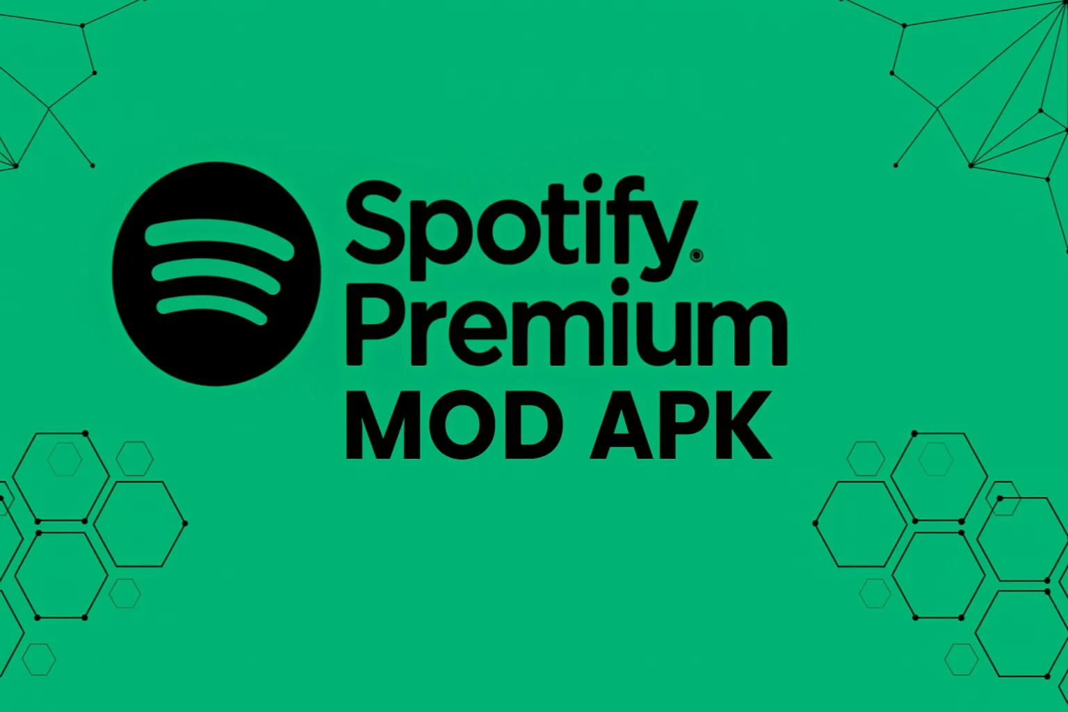 Terms and Conditions